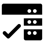 Data Storage Check Solid SVG Icon